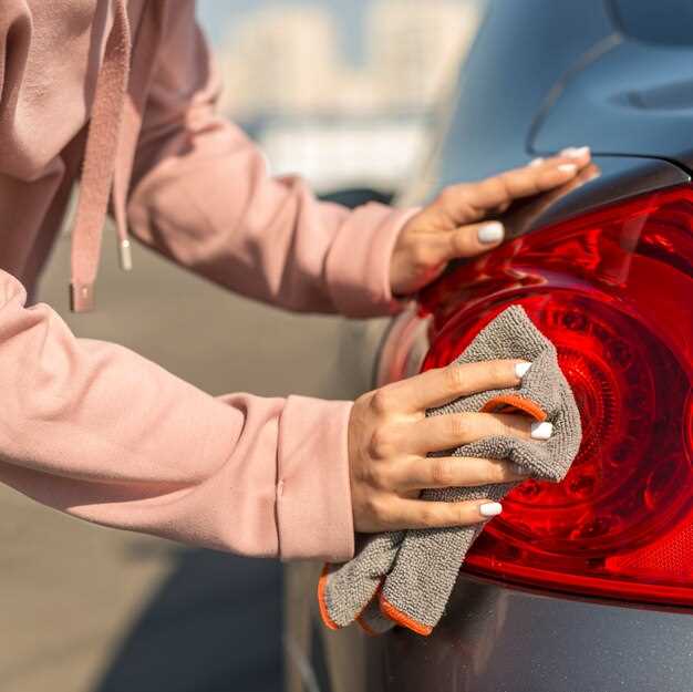 Estrategias para cuidar la limpieza del exterior en condiciones variadas