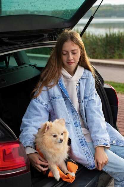 Consejos para viajar con mascotas en el coche