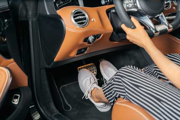 Accesorios únicos para un estilo personal en el salpicadero